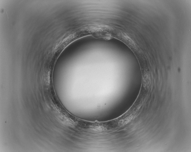 X0000060790454200511171312