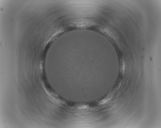 X0000060790456200511171312