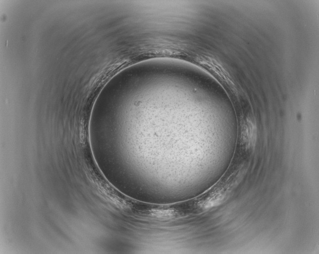 X0000060790457200511171312