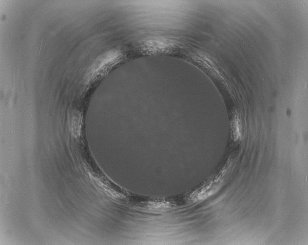 X0000060790458200511171312