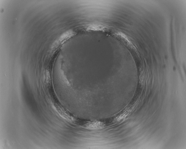 X0000060790459200511171312