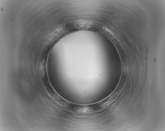 X0000060790460200511171312