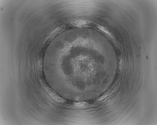 X0000060790461200511171312