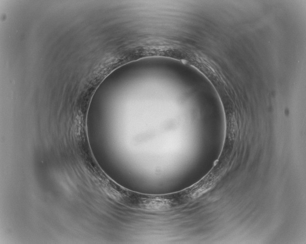 X0000060790463200511171312