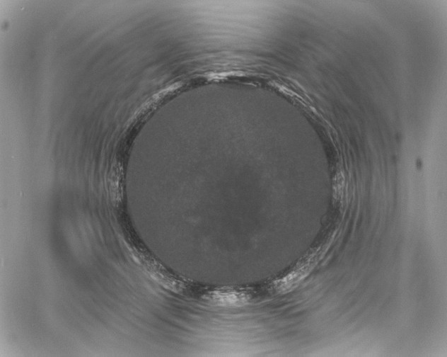 X0000060790464200511171312