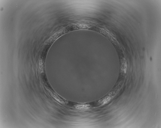 X0000060790465200511171312