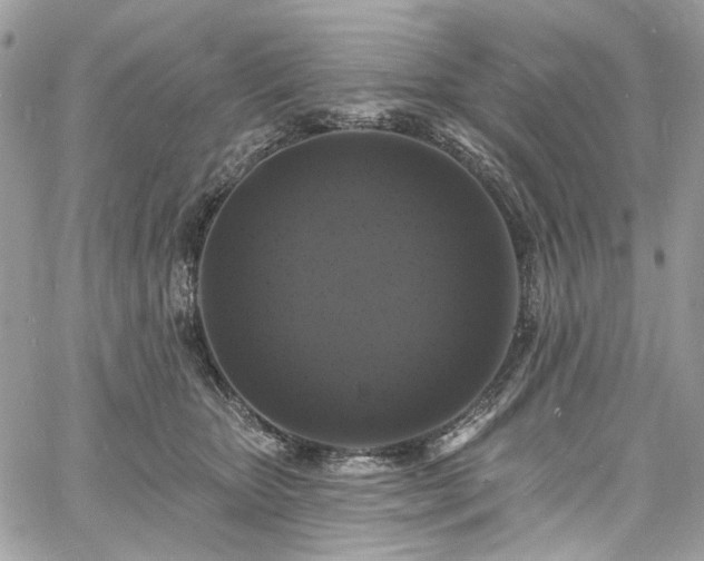 X0000060790467200511171312