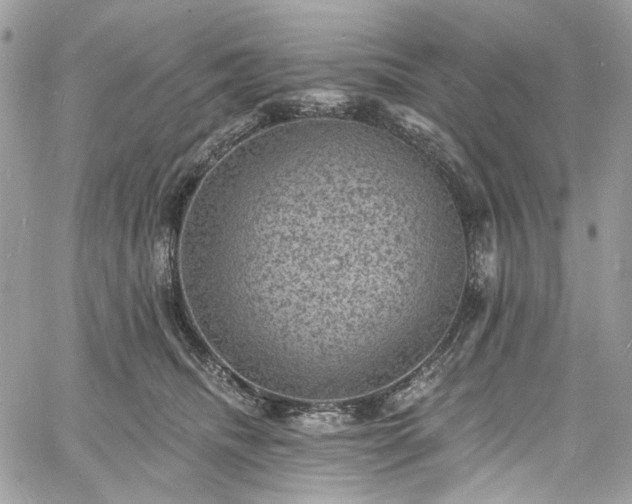 X0000060790468200511171313