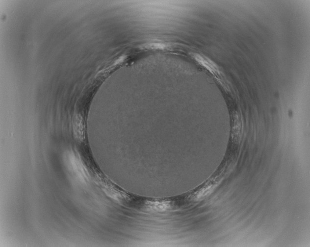 X0000060790469200511171313