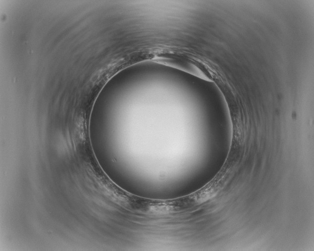 X0000060790470200511171313