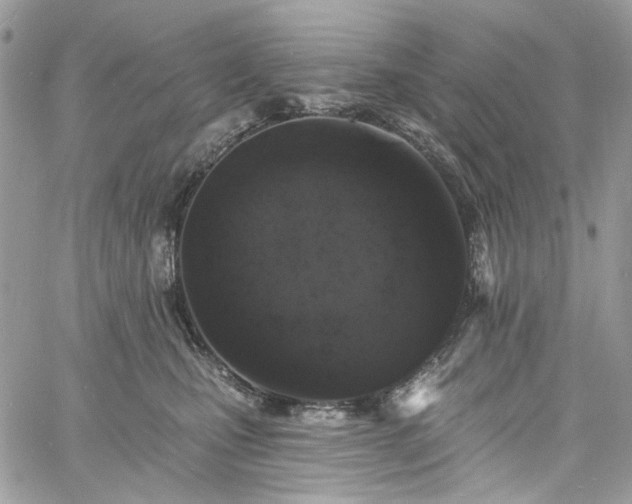 X0000060790471200511171313