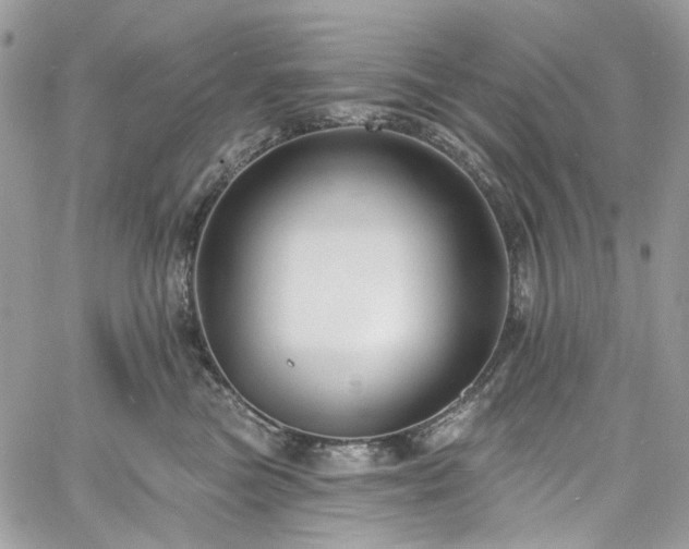 X0000060790473200511171313