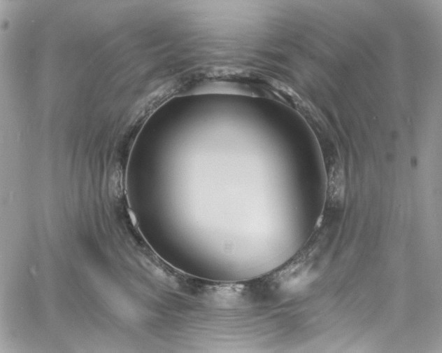 X0000060790474200511171313