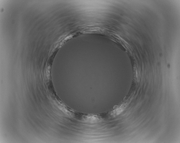 X0000060790475200511171313