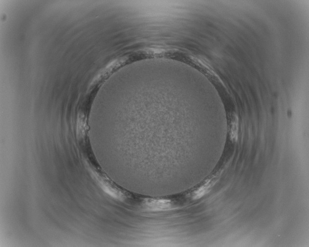 X0000060790476200511171313