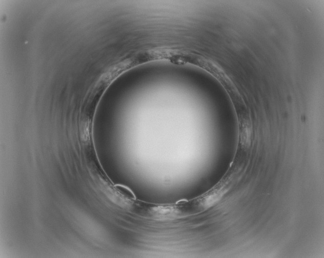 X0000060790477200511171313