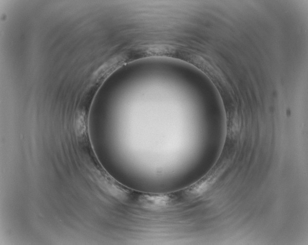 X0000060790478200511171313