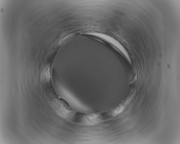 X0000060790479200511171313