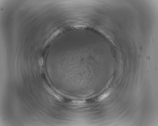 X0000060790480200511171313