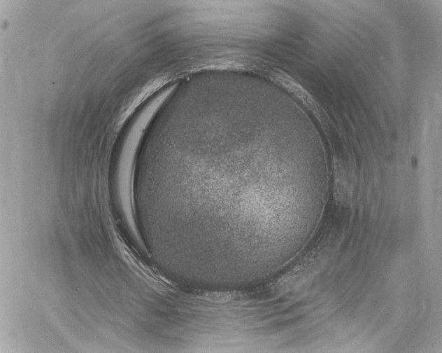 X0000060790482200511171312