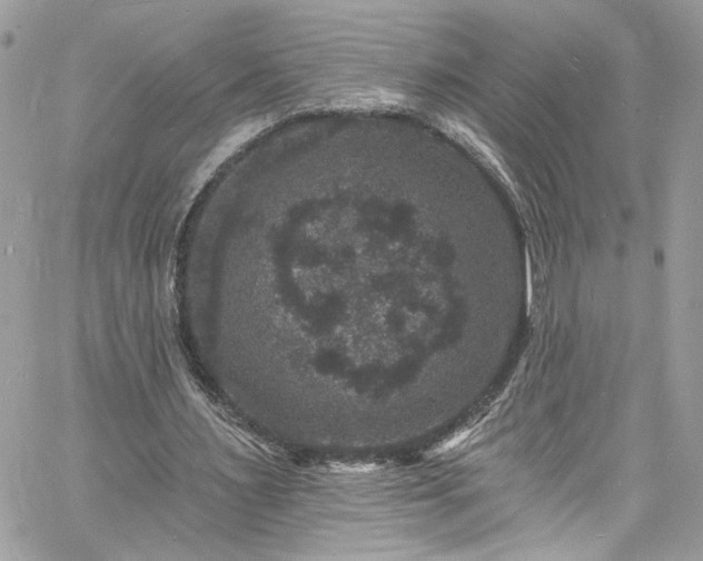 X0000060790483200511171312