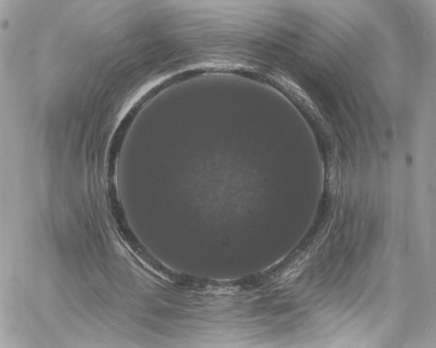 X0000060790484200511171312