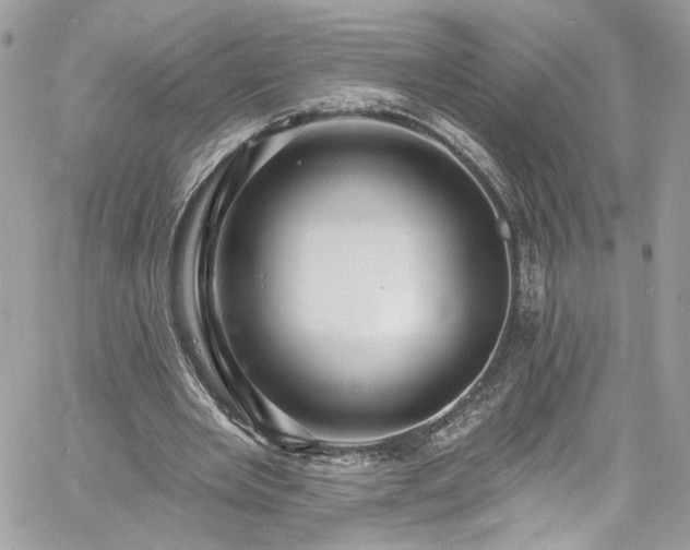 X0000060790485200511171312