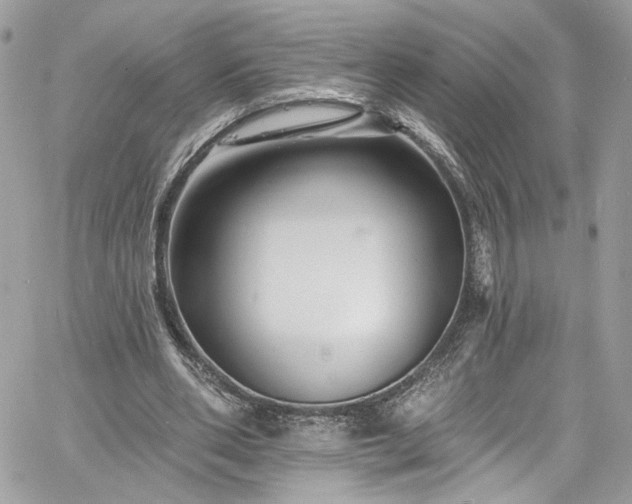 X0000060790486200511171312