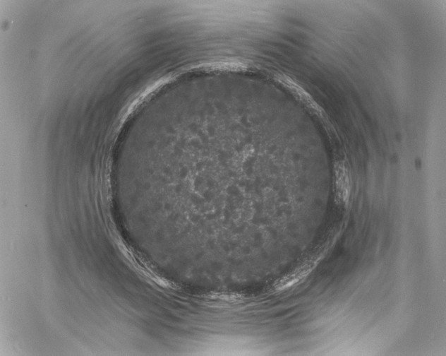 X0000060790487200511171312