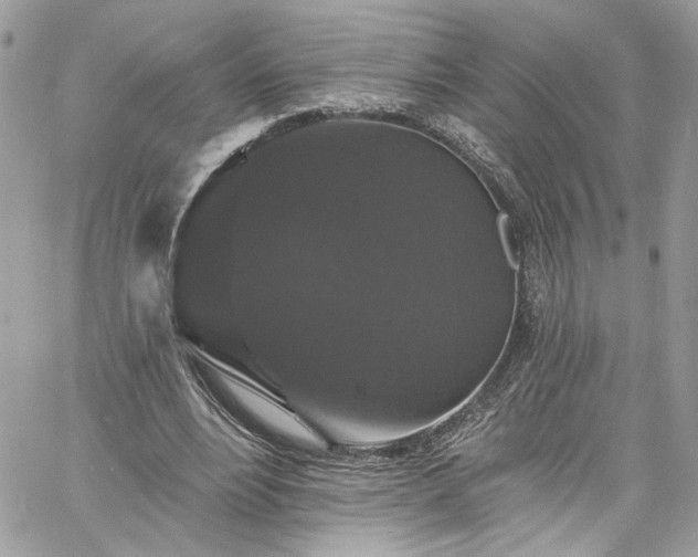 X0000060790488200511171312