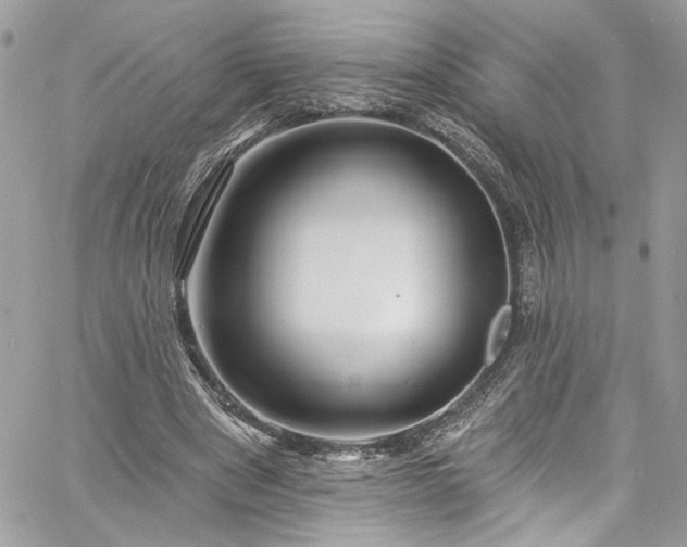 X0000060790489200511171312