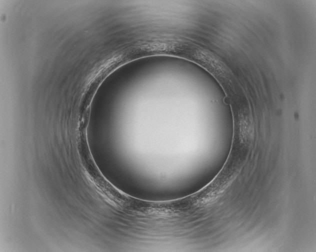 X0000060790490200511171312