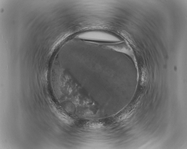 X0000060790491200511171312