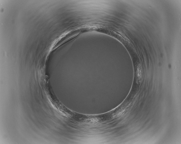 X0000060790492200511171312