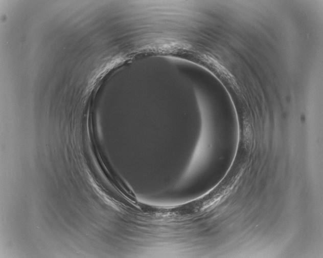 X0000060790493200511171312