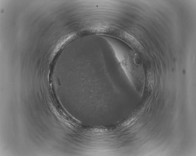 X0000060790494200511171312