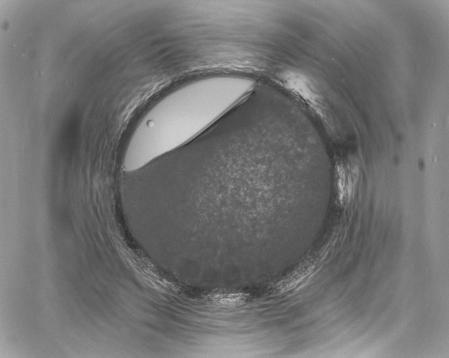 X0000060790495200511171312