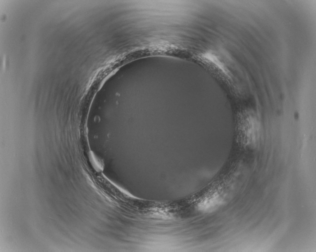 X0000060790496200511171312