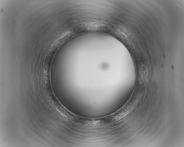 X0000060790497200511171312