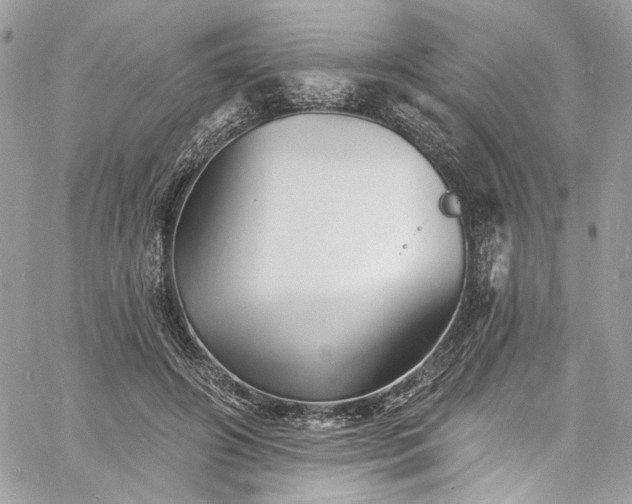 X0000060790498200511171312