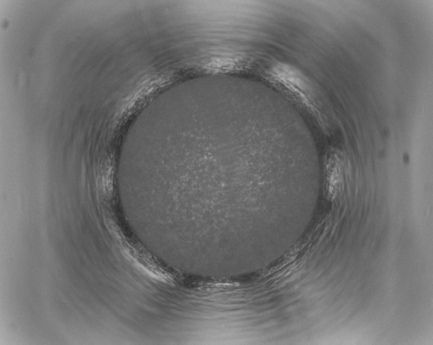 X0000060790499200511171312