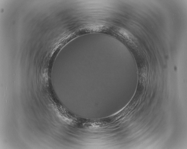 X0000060790500200511171312