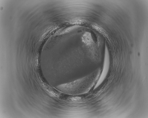 X0000060790501200511171312