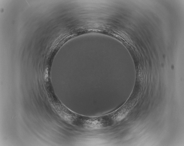 X0000060790502200511171312