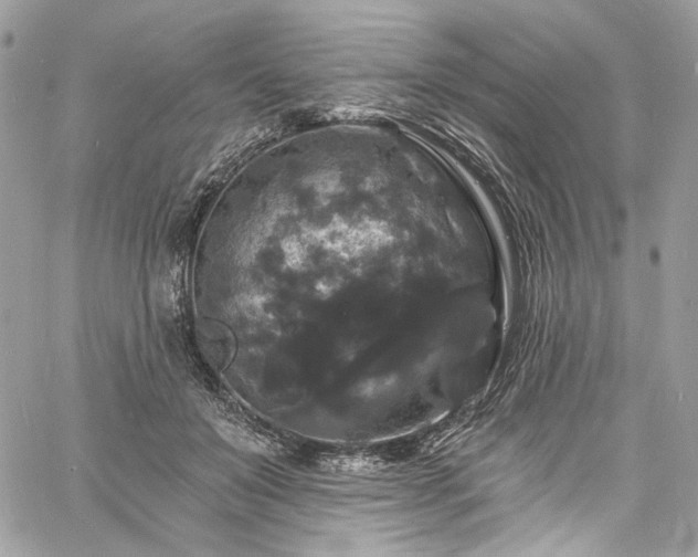 X0000060790503200511171312