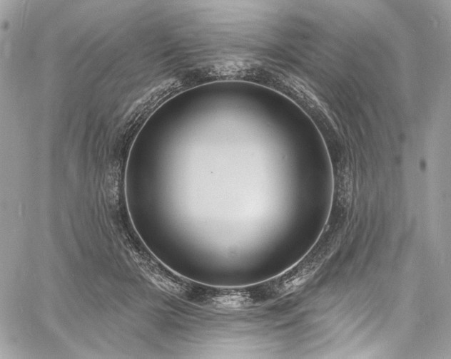 X0000060790505200511171312