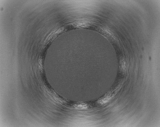 X0000060790506200511171312