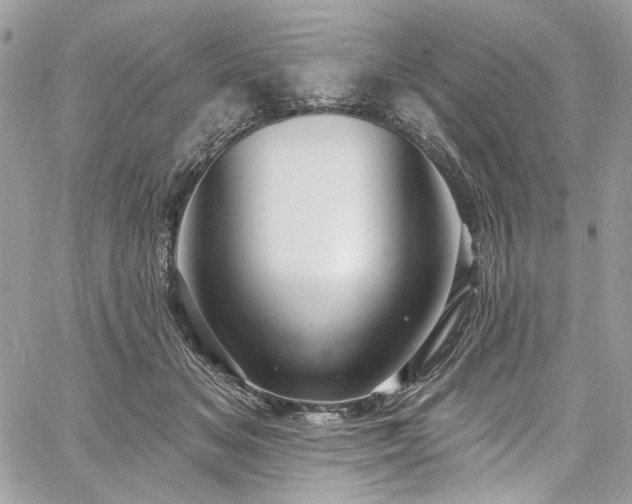 X0000060790509200511171311