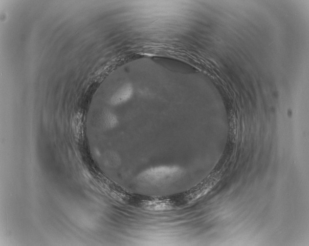 X0000060790511200511171311