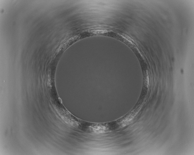 X0000060790512200511171311